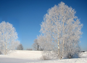 резюме таблица